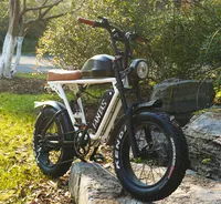 2022 New Super Knight-001 Sepeda Listrik Kota dengan 20 Inci Ban Gemuk E-bike Sepeda Salju Pantai untuk Orang Dewasa