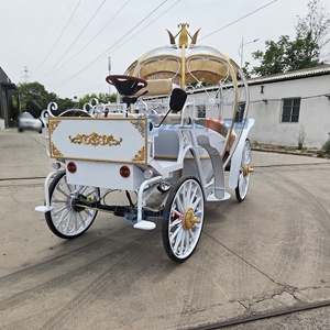 Carruaje Eléctrico de Cenicienta para Bodas, Transporte de Princesa, Color Personalizado, Diseño Cómodo y de Alta Calidad - Product Image 5