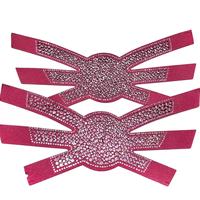 Clips de chaussures en TPU pour femmes avec décoration en strass pour l'utilisation de pantoufles