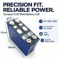 BSY -TB 3.2V 50Ah LiFePO4 Grado A 4000 Cicli Batterie al Litio Prismatiche 3.2V LiFePO4 50Ah per Accumulo di Energia Solare