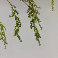 Plantes suspendues décoratives pour la maison, fruits artificiels, haricots amarantes, fleurs de plafond en latex souple