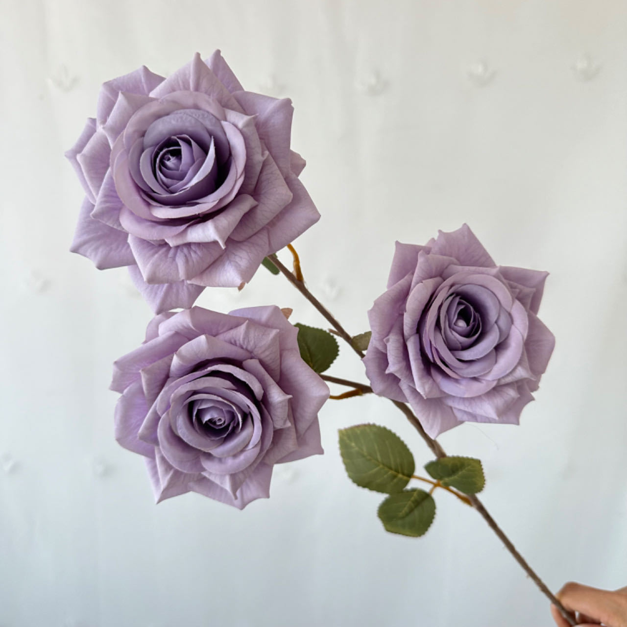 Dreamy Purple