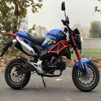 Motocyclette de sport d'occasion 125cc à essence, moto de course, petite moto T-Rex, moto de rue, véhicule complet à faible consommation de carburant