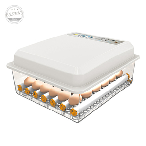 Offre Spéciale automatique <span class=keywords><strong>de</strong></span> poulet et <span class=keywords><strong>de</strong></span> canard incubateur d'oeufs incubateur d'oeufs <span class=keywords><strong>de</strong></span> perroquet entièrement automatique pour les oeufs <span class=keywords><strong>de</strong></span> <span class=keywords><strong>faisan</strong></span> - Product Image 4