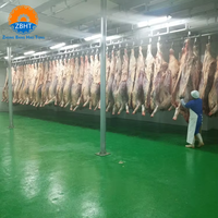 Projet clé en main Équipement d'abattage halal Ligne d'abattage de bovins pour abattoir de vaches
