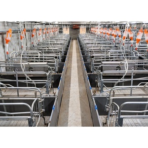 Nouvelles cages et enclos de maternité pour porcs en acier galvanisé à chaud, de haute qualité et à longue durée de vie - Product Image 6