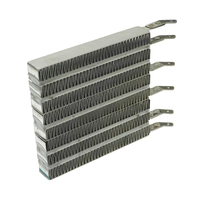 Éléments chauffants PTC, 110V 100W, 250W, 200W, 300W, Chauffage d'air en céramique isolé (110V 250W)