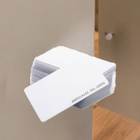 2025 Großhändler Zugangs kontrolle Leere Schlüssel karte 125kHz PVC 13,56 MHz RFID-Kommunikation schnitts telle 1K Mitgliedschaft Hotel Security Chip