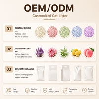 Litière pour chat en manioc à forte agglomération, biodégradable, à faible teneur en poussière, à base végétale, jetable aux toilettes, OEM ODM, marque privée, vente en gros pour chatons