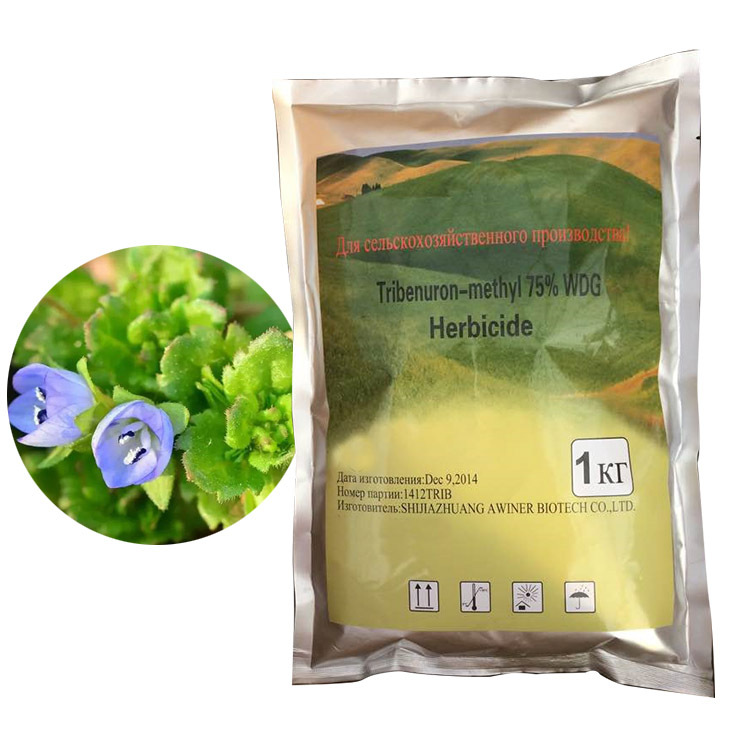 Гербициды для сельского хозяйства гербициды производство химикатов трибенурон-метил 75% WDG
