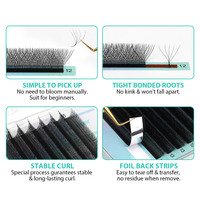 Extensions de cils SP EYELASH en forme de trèfle 0.05 0.07 0.10 Noir mat 4DW 5DW 6DW 7DW Marque privée OEM Usine Logo personnalisé