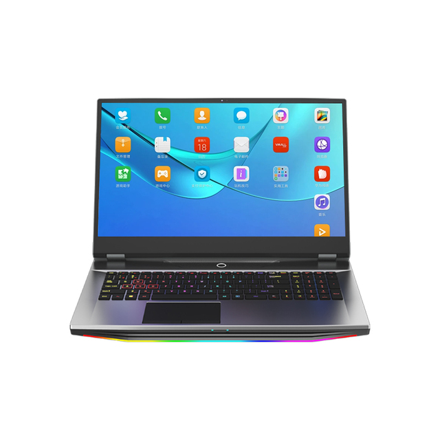 Wholesale Factory Customized 17.3 Inch Giant Screen Laptop 1920*1080 6 Cores 12 Threads Notebook IPS Panel English Camera