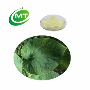 높은 품질 30% Kavalactones 추출물 Kava Kava 루트