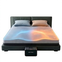 Système de sommeil froid 8Sleep Chilipad Alternative, matelas à circulation d'eau à deux zones, AuraCore Queen gris foncé pour couples