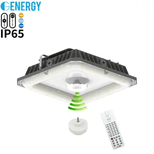 Lampe d'usine à LED Nouveau design 40/60/80/100W Lumières d'auvent à LED pour station-service/essence Garage Détecteur de mouvement et 3CCT & WATT-En option