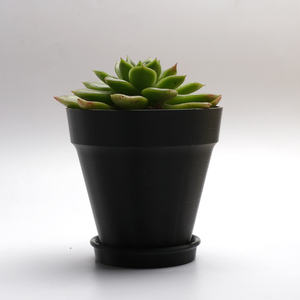 Filament d'impression 3D ESUN ASA+ en plastique, 1 kg, 1,75 mm, matériau pour pot de fleurs DIY, impression 3D pour la plupart des imprimantes 3D - Product Image 3