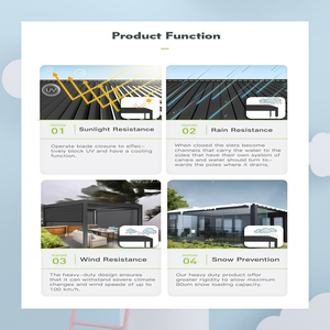 AAG Véranda extérieure moderne avec toit en verre double trempé Low-E et structure en alliage d'aluminium – Solution économique <span class=keywords><strong>pour</strong></span> chambre et villa - Product Image 5