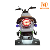 D300 3000W Electric Motorcycle 72V80Ah LFP Battery 100km/h Dual Disc Brake 17 Inch Vacuum Tire Electric Motorbike
