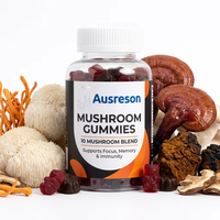 Gummies véganes de Reishi en gros : Complément alimentaire naturel pour la mémoire cérébrale et le sommeil, à base d'extrait de champignons séchés, marque distributeur