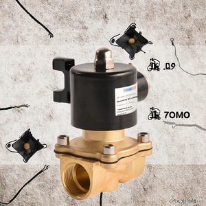 Vanne solénoïde à structure angulaire en laiton 1/2" 3/4" 1" 1.2" 1.5" 2" AC220V DC24V DC12V pour l'eau, personnalisable OEM - Product Image 3