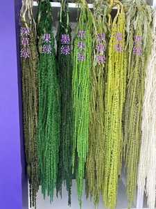 Flores Secas de Amaranto Preservado al Por Mayor, Suaves para Decoración de Bodas, Floristerías y Hogar para el Dí<span class=keywords><strong>a</strong></span> de San Valentín y Graduación - Product Image 4