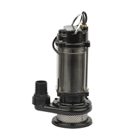 Pompe à eau submersible électrique 1 CV en acier inoxydable pour l'irrigation agricole et de jardin