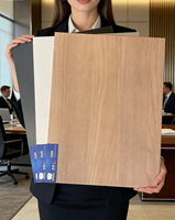 Panneau de placage premium avec finition peinture, toucher délicat, idéal pour les portes de placards haut de gamme et les intérieurs de luxe