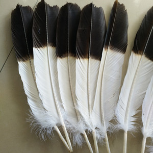Rare Two-color <strong>Eagle</strong> Tail <strong>Feather</strong> Length 40-45 cm DIY <strong>Eagle</strong> <strong>Feather</strong> Decorative Pieces - Product Image 3