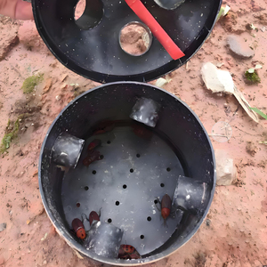 Trampa de gorgojo de palma roja Rhynchophorus Ferrugineus señuelo de feromonas estado sólido asiático gorgojo de Palma Sago gorgojo de Palma - Product Image 3