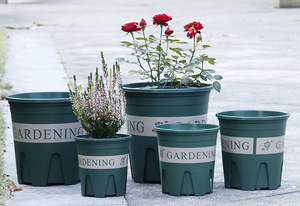 Root Flower Pot Garden Supplies Planting Basin <b>Planters</b> - Product Image 3