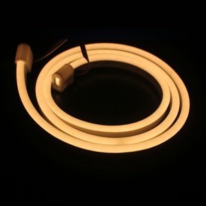 Lampe néon flexible de haute qualité, bande flexible pour la décoration, lumière néon LED personnalisée 26*15mm - Product Image 6