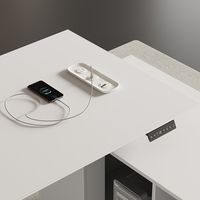 Scrivania da Ufficio Regolabile in Altezza, Durevole ed Ecologica MGRG-T03, Arredamento Moderno OEM/ODM, Dimensioni, Colore e Logo Personalizzabili