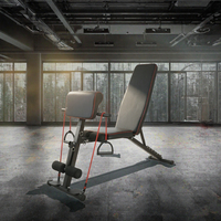 Banc de musculation pliable réglable pour abdominaux et haltères, équipement de fitness auxiliaire pour la maison, en acier et bois, OEM