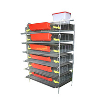 Équipement d'élevage d'animaux et de volailles, cage à cailles de type H à 6 niveaux pour la production d'œufs, cages d'élevage de cailles pondeuses, cage à cailles à vendre