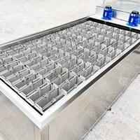 Machine à Fabriquer des Blocs de Glace Turcs de Grande Capacité 3 Tonnes, Économique, pour la Vente aux Philippines, en Afrique du Sud, pour le Poisson en Conteneur