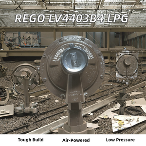 Regulador Neumático de Segunda Etapa <span class=keywords><strong>REGO</strong></span> LV4403B4, Válvula Reductora de Presión para Quemador de <span class=keywords><strong>Gas</strong></span> de Baja Presión DN15, Temperatura Normal, Hecho en EE. UU. - Product Image 2
