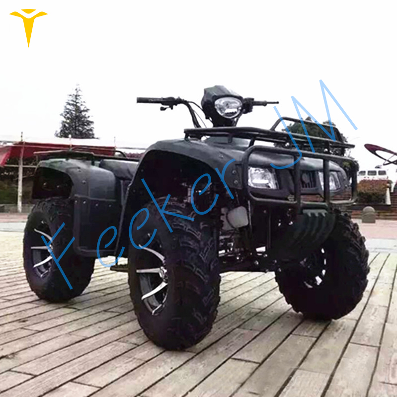 source 全地形车燃气动力成人越野四轮自行车2冲程4轮4x4摩托四轮250