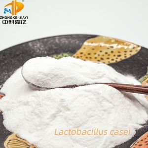 Pediococcus acidilactici高活性食品グレードプロバイオティクス粉末 - Product Image 4