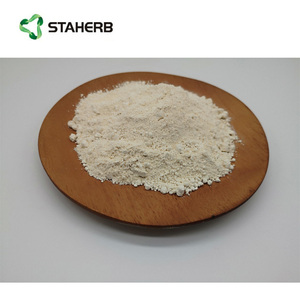 Bubuk ekstrak biji kopi hijau bubuk asam klorogenik - Product Image 6