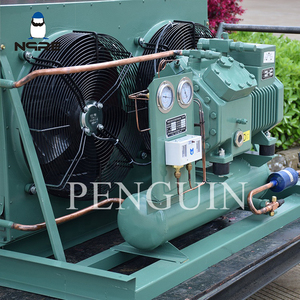 3HP 4hp 5hp 6hp 7.5HP 10HP 12hp lạnh ngưng tụ đơn vị làm mát bằng không khí Tủ đông ngưng tụ đóng băng đơn vị cho phòng lạnh - Product Image 6