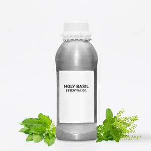 สารสกัดน้ำมันโหระพา - Product Image 1