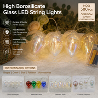 Guirlande lumineuse LED personnalisée en verre, Catena Luminosa, en borosilicate, blanc chaud, télécommande, fournisseur ODM, ensemble de décoration de Noël, vente en gros