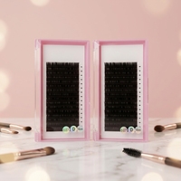 Extensions de cils individuelles en cachemire de marque privée, volume mat premium foncé, fournitures pour extensions de cils