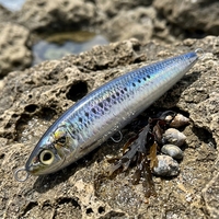 WildTrek Leurre flottant ABS 17cm 89.7g imprimé en 3D, leurre dur pour eaux moyennes, système de lancer longue distance, thon, kingfish, saumon, bar.