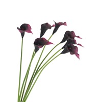 Fleur artificielle Calla Lily de qualité supérieure, directement de l'usine, matériel de distribution pour arrangements floraux pour les remises de diplômes et les mariages