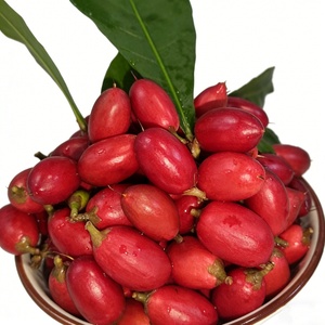 Extracto de Fruta Milagrosa en Polvo al por Mayor OEM, Synsepalum Dulcificum Daniell FD, Frutos Milagrosos Liofilizados - Product Image 2