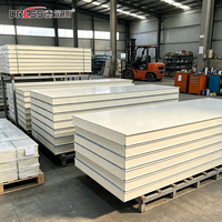 Panneaux de chambre froide walk-in en sandwich d'acier pour kit de conteneur congélateur industriel