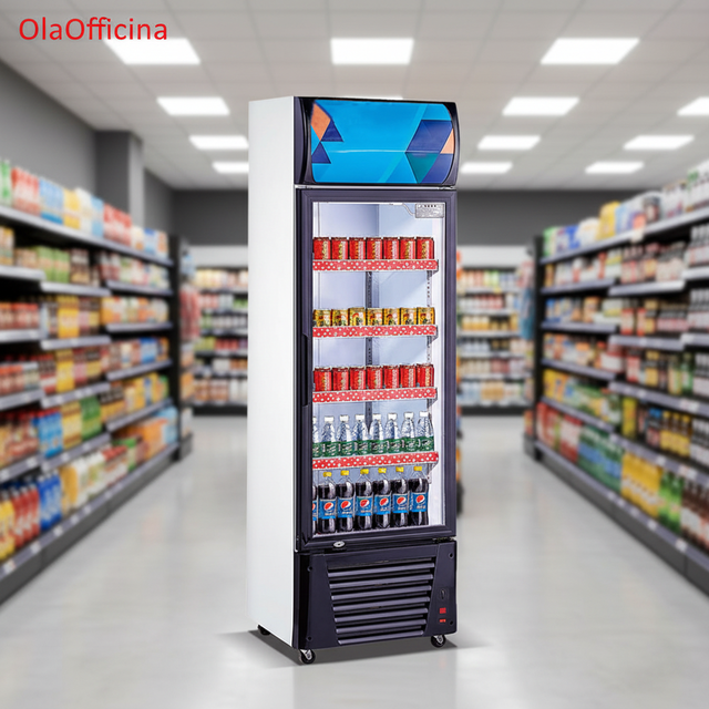 Single Door Tall Refrigerator for Drinks Large for Commercial Kitchen