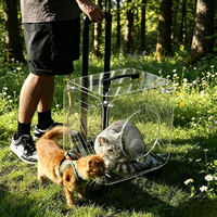 Sac de transport panoramique transparent en acrylique écologique pour animaux de compagnie, respirant et portable, grande capacité pour chats