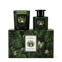 Coffret Cadeau de Bougies Parfumées Personnalisées avec Bouteille de Diffuseur à Bâtonnets, Pot à Bougie en Verre Dépoli avec Couvercle, Emballage en Gros OEM